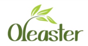 Oleaster